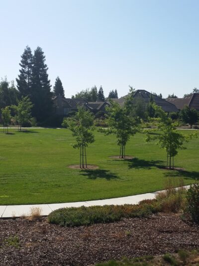 Roget Park - Lodi, CA