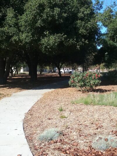 Roget Park - Lodi, CA