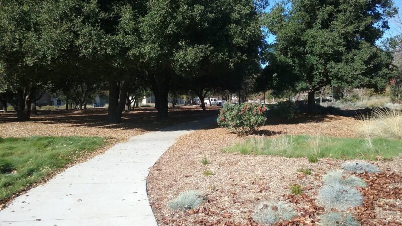 Roget Park - Lodi, CA