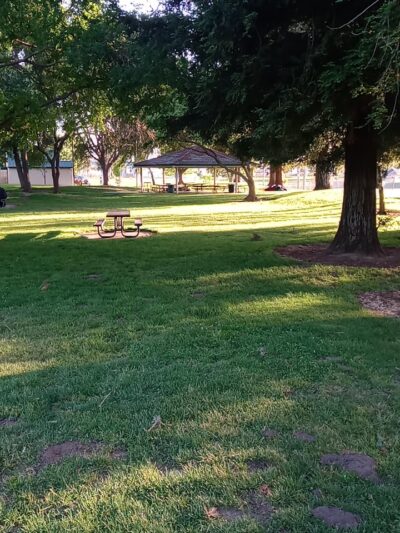 Salas Park - Lodi, CA