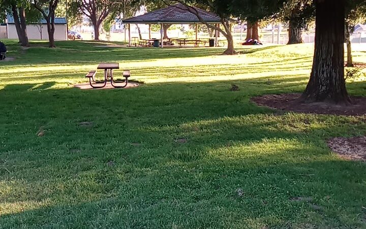 Salas Park - Lodi, CA