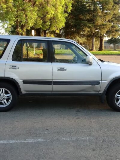 Salas Park - Lodi, CA