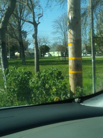 Van Buskirk Park - Lodi, CA