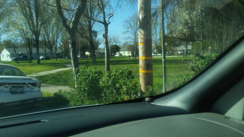 Van Buskirk Park - Lodi, CA