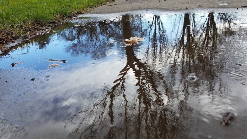 Van Buskirk Park - Lodi, CA