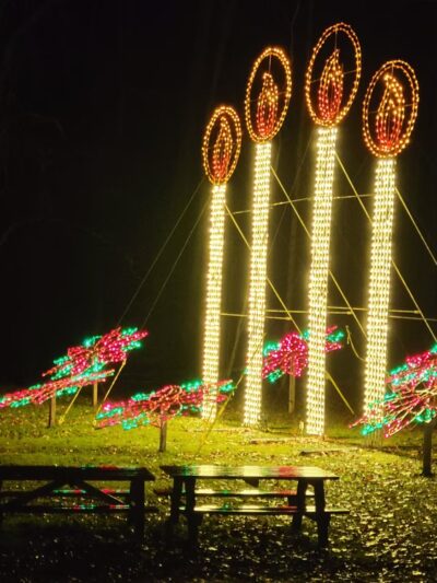 Chief Logan State Park - Logan, WV
