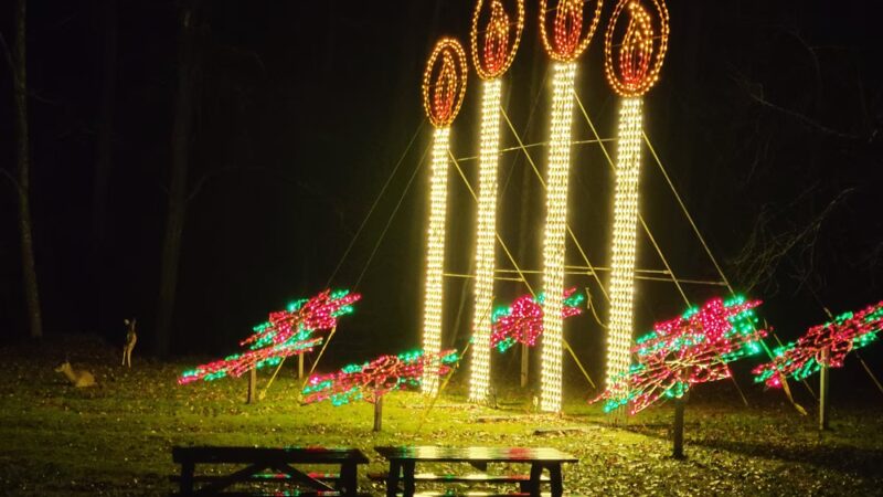 Chief Logan State Park - Logan, WV