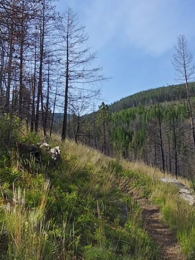 South Fork Lolo Creek Trailhead - Lolo, MT