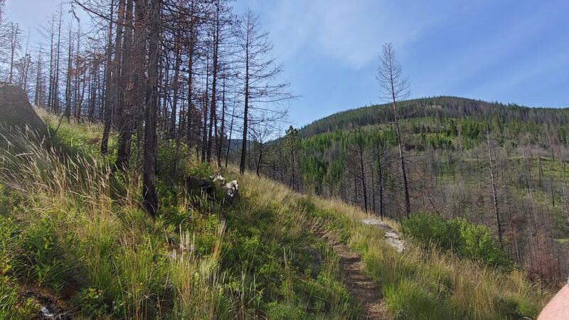 South Fork Lolo Creek Trailhead - Lolo, MT