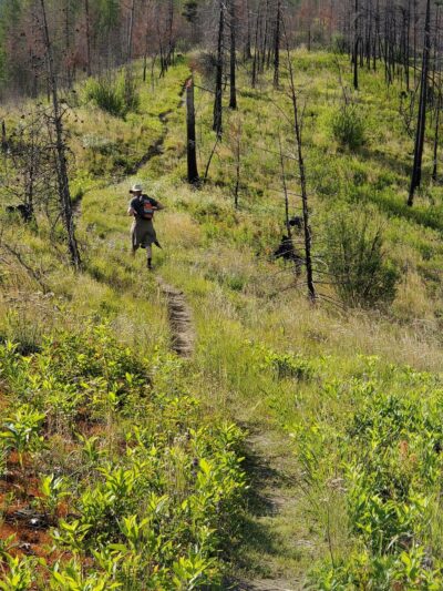 South Fork Lolo Creek Trailhead - Lolo, MT