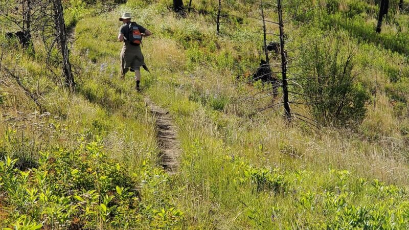 South Fork Lolo Creek Trailhead - Lolo, MT