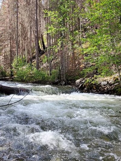 South Fork Lolo Creek Trailhead - Lolo, MT