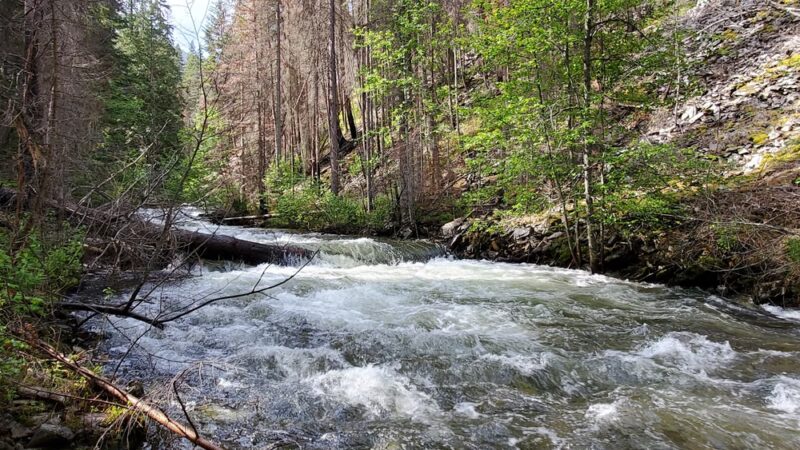 South Fork Lolo Creek Trailhead - Lolo, MT