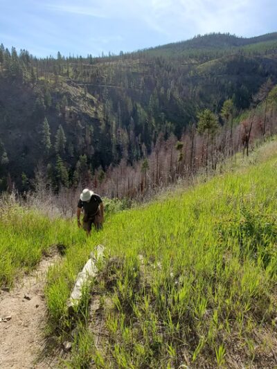 South Fork Lolo Creek Trailhead - Lolo, MT