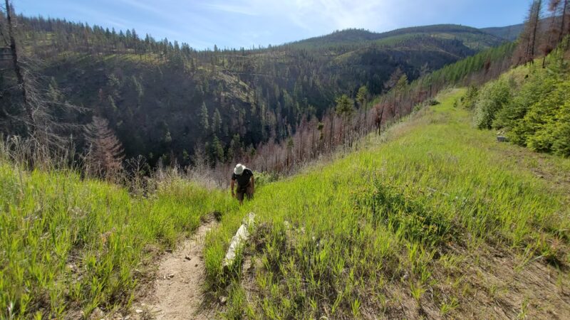 South Fork Lolo Creek Trailhead - Lolo, MT