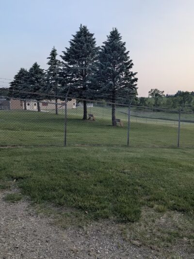 Dog park - Lomira, WI