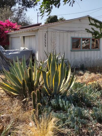 Annex Park - Lomita, CA