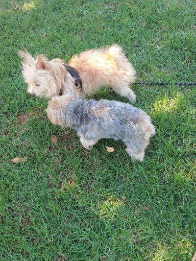 Metro Park - Lomita, CA