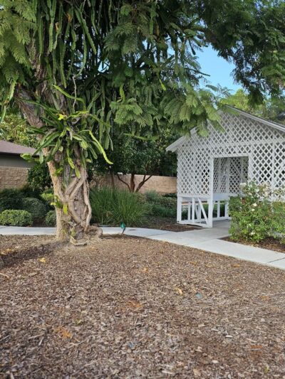 Teuchert Park - Lomita, CA