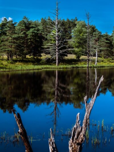 Londonderry Rail Trail - Londonderry, NH