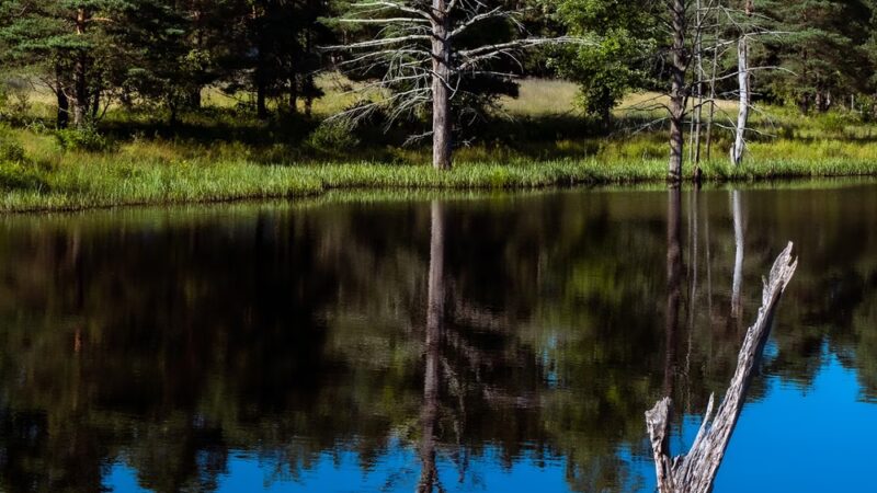 Londonderry Rail Trail - Londonderry, NH