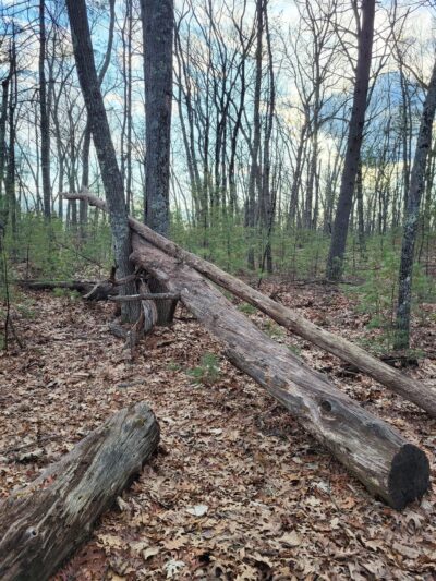 Musquash Conservation Area - Londonderry, NH