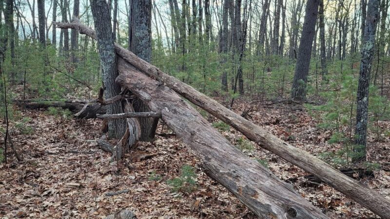 Musquash Conservation Area - Londonderry, NH