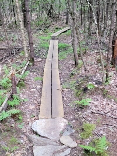 Musquash Conservation Area - Londonderry, NH