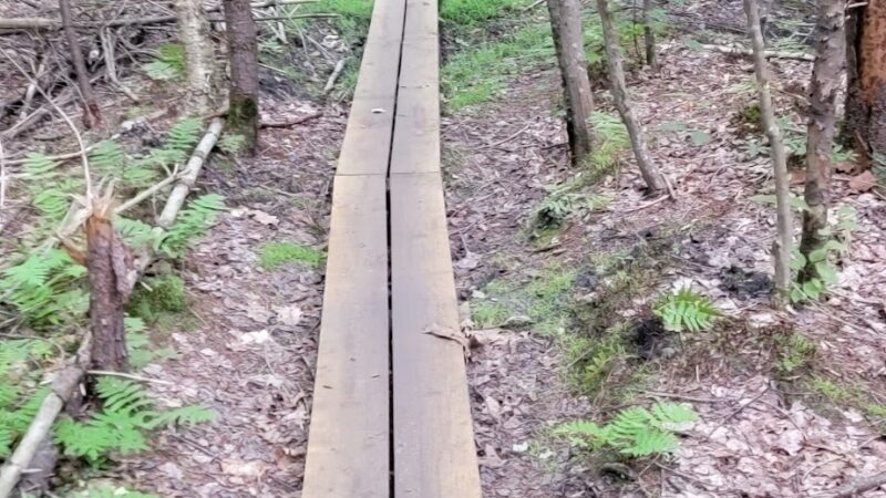 Musquash Conservation Area - Londonderry, NH