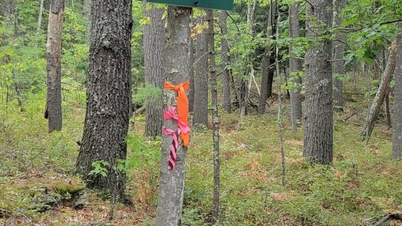Musquash Conservation Area - Londonderry, NH