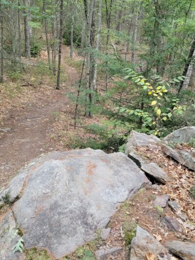 Musquash Conservation Area - Londonderry, NH