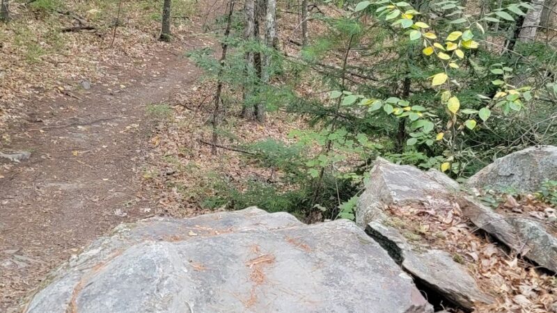 Musquash Conservation Area - Londonderry, NH