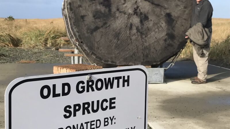 Chautauqua Trailhead - Long Beach, WA