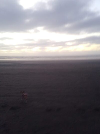 Chautauqua Trailhead - Long Beach, WA