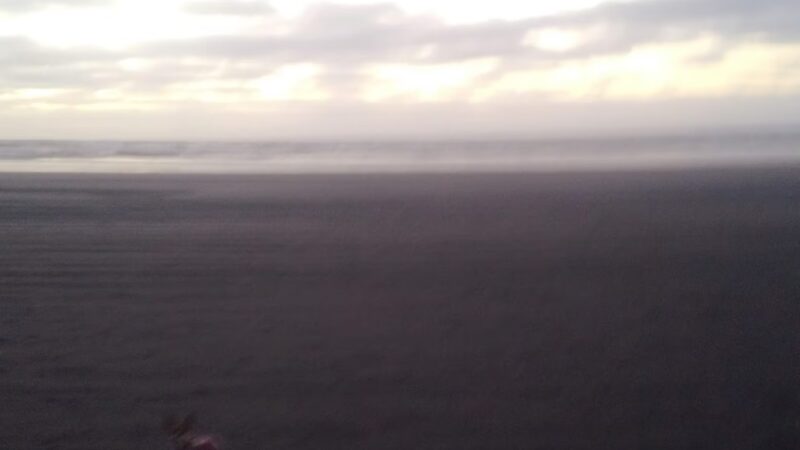 Chautauqua Trailhead - Long Beach, WA