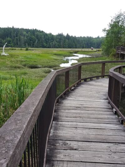 Willapa National Wildlife Refuge - Long Beach, WA