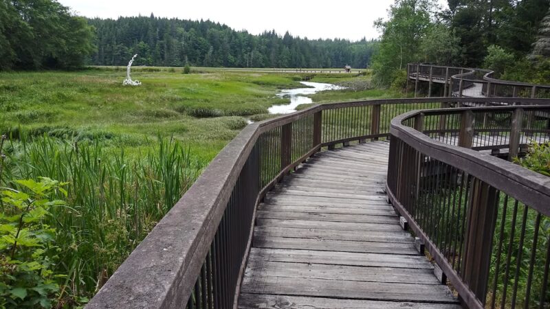 Willapa National Wildlife Refuge - Long Beach, WA