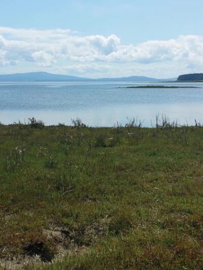 Willapa National Wildlife Refuge - Long Beach, WA