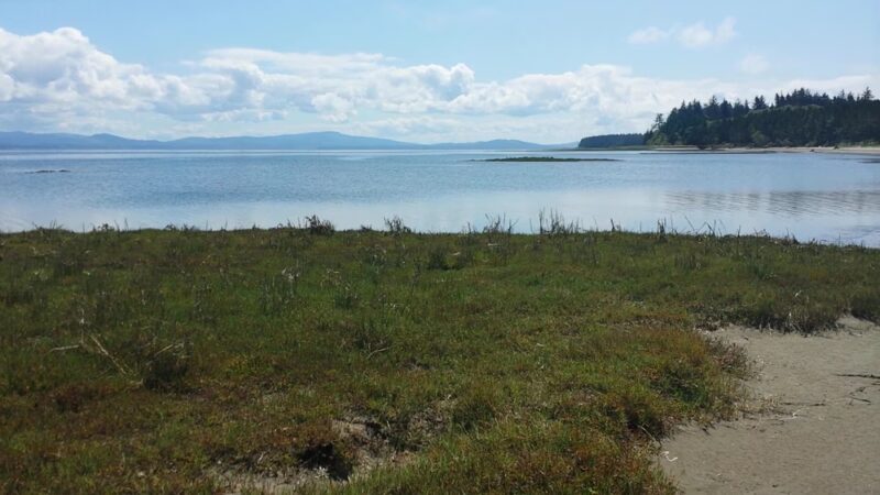 Willapa National Wildlife Refuge - Long Beach, WA