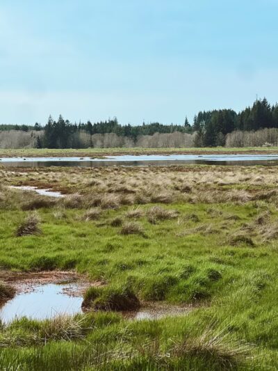 Willapa National Wildlife Refuge - Long Beach, WA