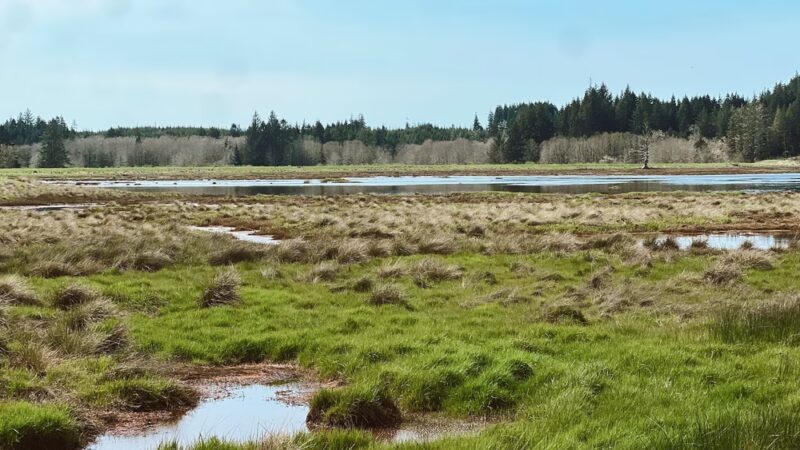 Willapa National Wildlife Refuge - Long Beach, WA