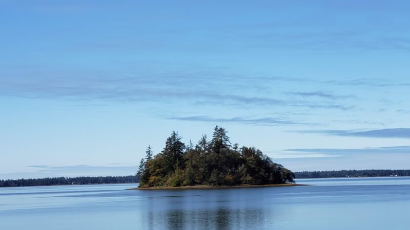 Willapa National Wildlife Refuge - Long Beach, WA