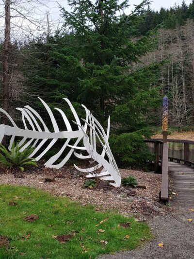 Willapa National Wildlife Refuge - Long Beach, WA