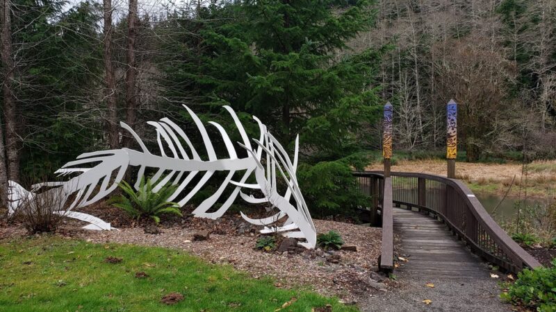 Willapa National Wildlife Refuge - Long Beach, WA