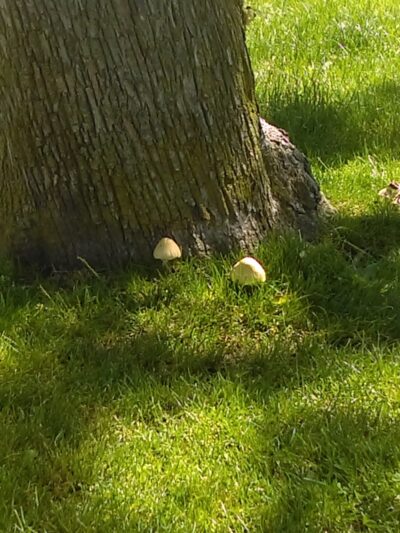 West End Park - Long Branch, NJ