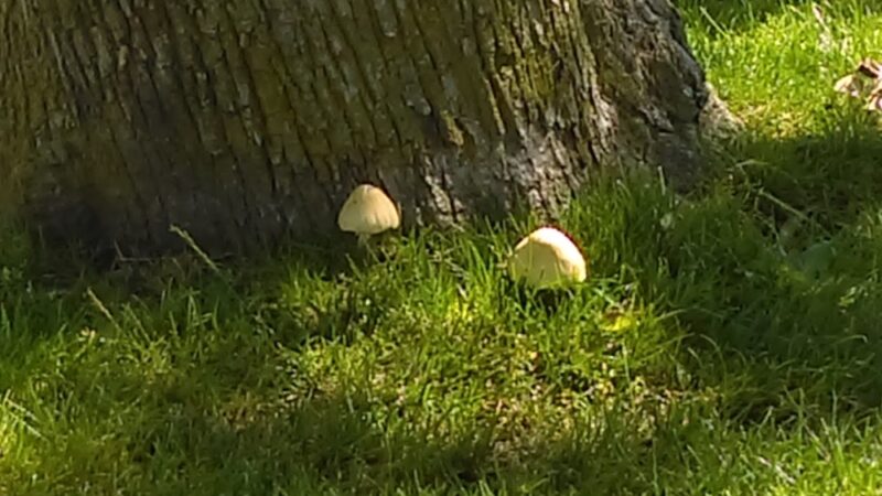 West End Park - Long Branch, NJ