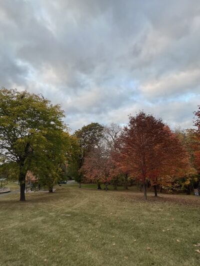 Hardin Park - Long Lake, MN