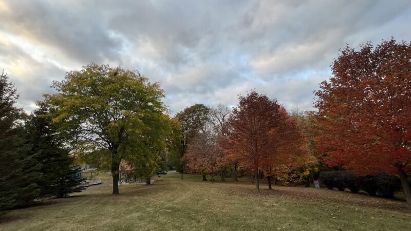Hardin Park - Long Lake, MN