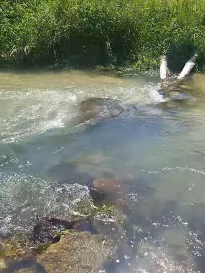 Long Pine State Recreation Area - Long Pine, NE