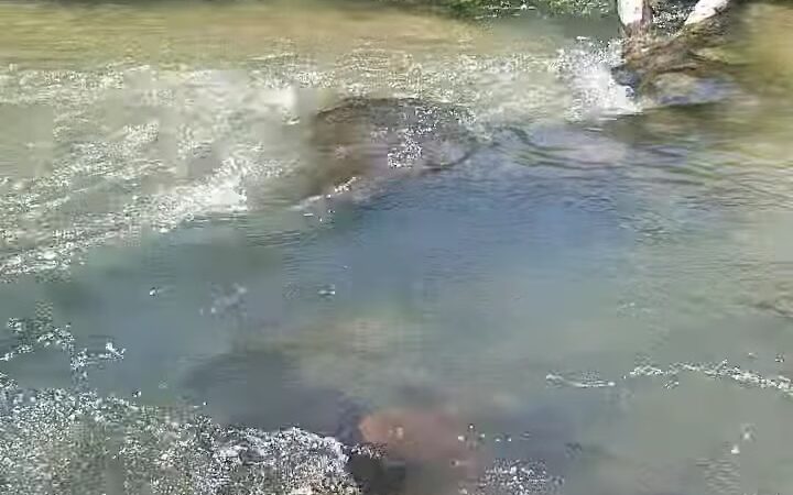 Long Pine State Recreation Area - Long Pine, NE